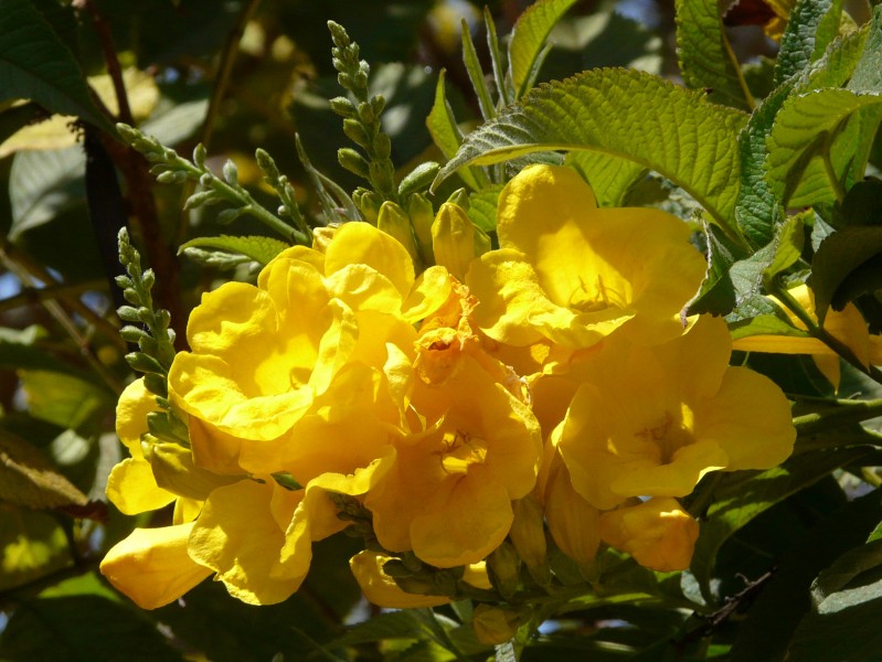 MA09044 copie.jpg